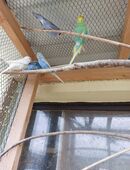 wellis aus 2025 tel 0374314264 in 08548