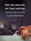 private Hundebetreuung, Haustierbetreuung in 15230