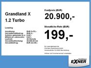 Opel Grandland X 1.2 Turbo ULTIMATE LED* Navi* PDC* - Hof