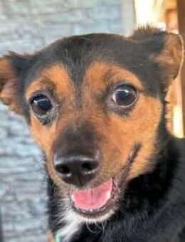 TIERRA - wie in einem schlechten Film... - Regensburg