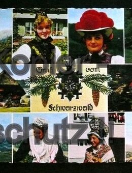 alte Mehrmotiv Ansichtskarte"Gruß vom Schwarzwald" - Niederfischbach