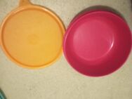 Tupperware Dose Pink/Rot - Herford (Hansestadt)