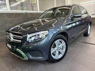 Mercedes-Benz GLC 220 d 4Matic ab 235€ LED AHK SHZ - Cottbus