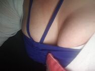 Suche cumtribute - Delmenhorst