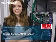 Solution Owner SAP FI/CO (w/m/d) - Bruchsal