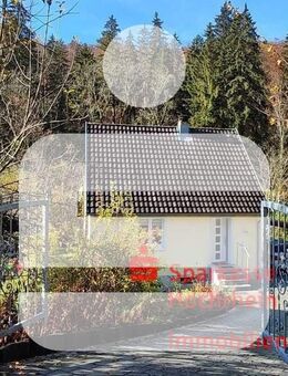 Einfamilienhaus in Waldshut - Waldshut-Tiengen