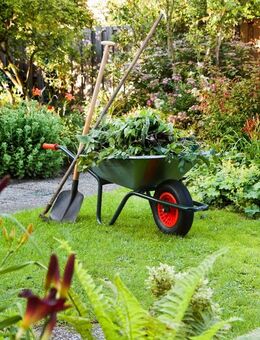 🌱 Gartenhilfe gesucht? Wir helfen gern! - Bottrop