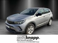 Opel Grandland X, 1.5 Grandland D (EURO 6d), Jahr 2021 - Frankenthal (Pfalz)