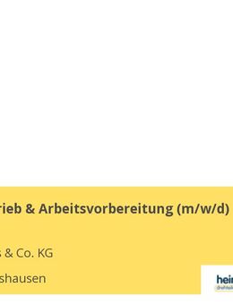 Leiter Vertrieb & Arbeitsvorbereitung (m/w/d) - Dommershausen