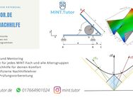 Nachhilfe in Mathe, Mechanik, Physik und BWL für Studenten - Solms