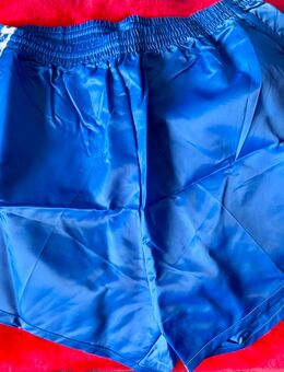 Arena Glanzshorts, Sprinter, Training - Barmstedt