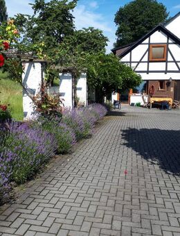 Freistehendes Einfamilienhaus mit traumhafter Fernblicklage in Kaufungen - Kaufungen
