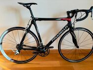 Pinarello Paris Rennrad Gr. 58 - Aachen