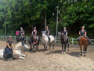 Reiterferien Gut Dankerode - Rotenburg (Fulda)