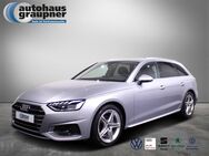 Audi A4, Avant 35 TDI advanced, Jahr 2024 - Brandis