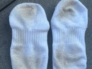 5 Tage getragene Socken;) - Olten