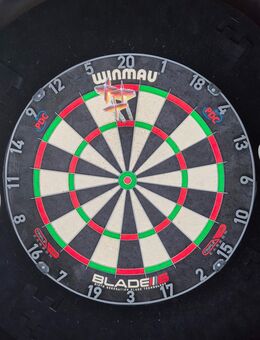 Darts - Ehingen (Donau)