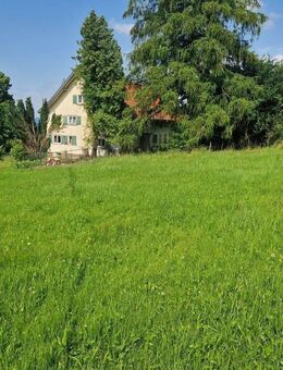 Stillgelegte Hofstelle in Lindenberg mit ca. 1,5 Hektar Fläche "Aus mir müssen Sie noch etwas machen" - Lindenberg (Allgäu)