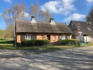 Heimatliches Fischerhäuschen am Ufer der Müritz - Fincken