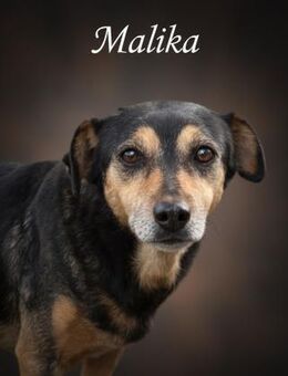 Malika 💚💚💚 Altersruhesitz gesucht - Bad Karlshafen