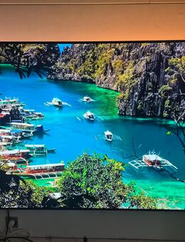 Philips Tv 65 Oled 804/12 - Hilden