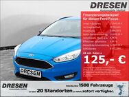 Ford Focus, 1.5 Business, Jahr 2017 - Mönchengladbach