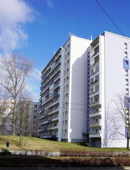 Großzügige komplett neu sanierte 2 Raum Wohnung - Plauen