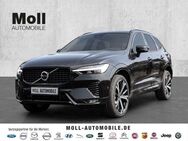 Volvo XC60 Ultimate Dark AWD B4 Diesel EU6d Allrad HUD AD StandHZG digitales Cockpit Memory Sitze - Aachen