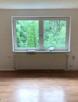 Nette Nachmieter gesucht .... Hübsche Erdgeschosswohnung im schönen Wolfshagen - Langelsheim