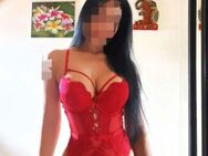 Neu in MÜNCHEN-PASING 🌺 BELLA (34) 🌺 ANGEBOT !!1 Stunde- 150 euro Fullservice 🍆💦 SEHR GUTER-Service 🌺 Ich erwarte dich mit tollen Extras!! - München Pasing-Obermenzing