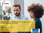 ABEX-Leiter  Beratung & Verkauf an das Fachhandwerk (m/w/d) - Wittlich