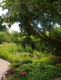 Großes Einfamilienhaus mit Gartenparadies im Wendland - Wustrow (Wendland)