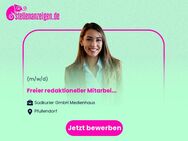 Freier redaktioneller Mitarbeiter (m/w/d) für den SÜDKURIER - Pfullendorf