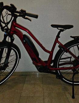 Tolles Bike zum Saisonstart - Bonn Geislar