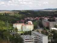 1-Raum sonnig im GRÜNEN mit BALKON+AUFZUG- zentral und gemütlich - Thale