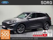 Ford Kuga, 2.5 ST-Line X, Jahr 2024 - Fulda