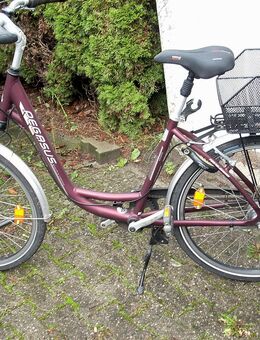 26iger Damenfahrrad Pegasus - Münster