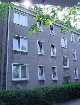 Demnächst frei! 1-Zimmer-Wohnung in Hamm Hamm-Mitte - Hamm