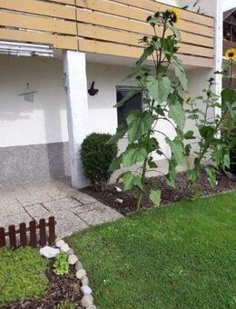 GOTTSMANN Immob. 3 Zimmerwohnung in Dechsendorf / Erl. - Erlangen