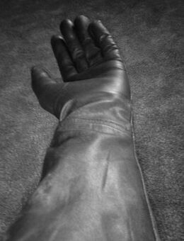 Gay sucht Gay - Gelsenkirchen