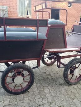 Kutsche für Reitpony, Welch, Haflinger Tinker, Fjord etc. - Rahden