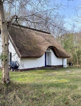 Ihr Ferienhaus auf Hiddensee - Insel Hiddensee