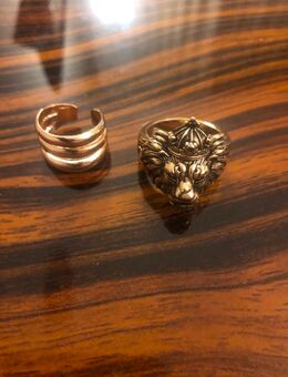 2 Ringe zu verschenken in Dresden oder Versand - Dresden