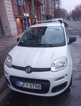 Fiat Panda My Style 1.2 8V - Berlin