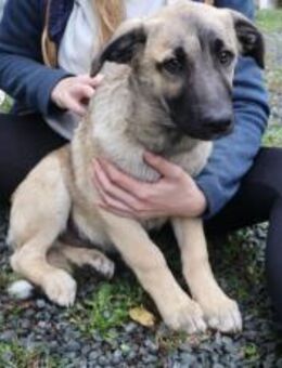 Butschek braucht dich! - München