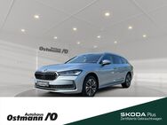 Skoda Superb, Combi Selection 110kw TDI, Jahr 2024 - Niestetal