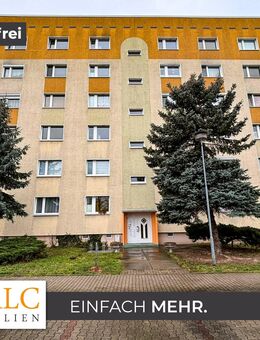 Günstiges Investment! PROVISIONSFREI! - Zeithain