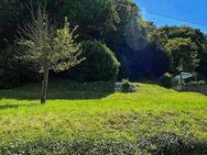 Gepflegtes Baugrundstück mit Rheinblick in Sankt Goar-Fellen - Sankt Goar