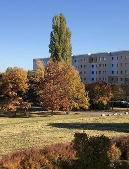 Einziehen und Wohlfühlen... - Cottbus