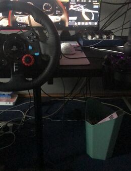 Logitech G29 Mit Schalter - Bergheim (Nordrhein-Westfalen)